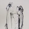 The pair