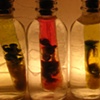 Nightmares in Comparative Embryonic Development