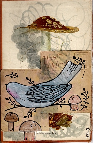 Mushroom