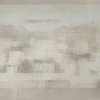 Venus III