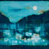 Night Evolution