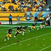 Stadium/Environmental Design Projects