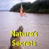 Nature's Secrets  -  Photographs