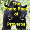 The Photo Book of Proverbs