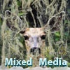 Mixed Media