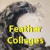 Feather Collages