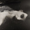 The Age of Lust