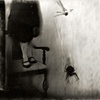 Untitled # 35