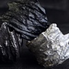 Bark Wing Ring