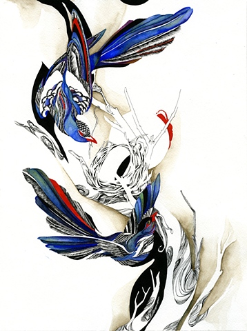 Splash Image