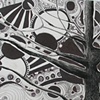 2-D Design, In Line with Nature Project