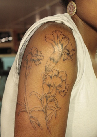 Carnation