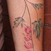 Bleeding Hearts