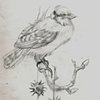 Drawings for Tattoos