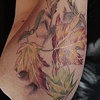 Fall Leaves