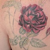 Dana's Rose