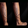 Michelle Rose's Kelp
