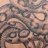 Rattlesnake