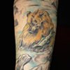 California Sleeve