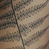 Fern
