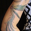 Quetzal