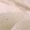 Longstitch
