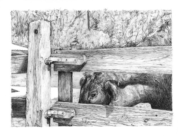 Sabina Nieto "Little Farm's Little Dogie"