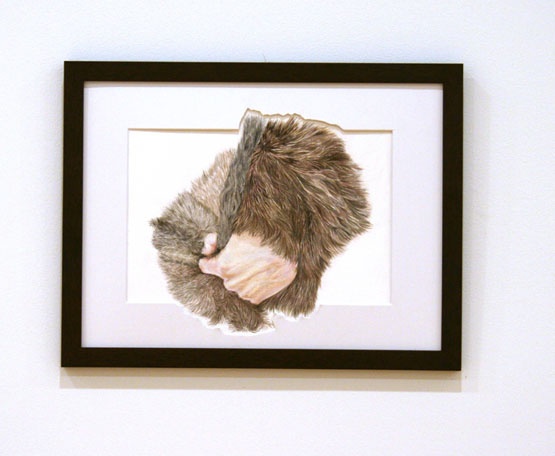 Tracy Timmins
�Untitled, VII� (from the series "Wild")

