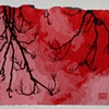 Emily Riley
"Crow Claws"

