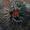 Hugo Steccati
"Mum" 
