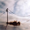 Vanessa Marsh
"Telephone Poles"
