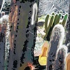 Eileen Starr Moderbacher
"Last Summer"
