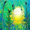 Laurie Miller
"Light of the Woods"
