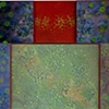 HD Mott
"BIO 2"