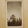 Michael Hall
"Snapshot"