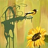 Jennifer Bain
"Sunflower"  