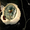 E.G. Crichton
Series: "Matter Out of Place"