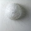 Cait Kirste
Growth