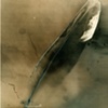 Claudia Wornum
"Feather 2.1"