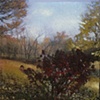 Crissy Welzen
"Fall"

