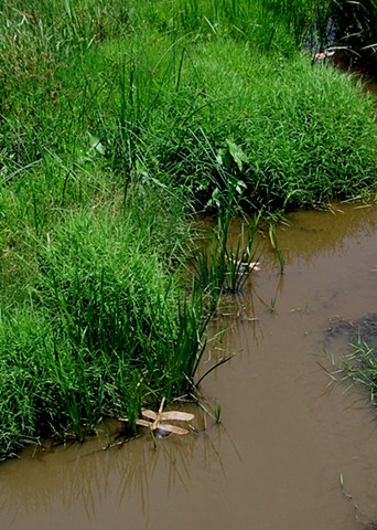 Sculpture, Site-Specific Installation, Bronze, Glass, Waterscape, Nature