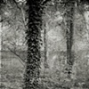 Jessica M. Kaufman
"Untitled" from "Panopticon"
