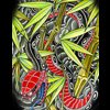 bamboo viper