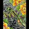 mantis