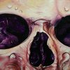 close up skull3