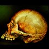 old orange skull