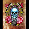 coffin skull