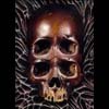 four eyed skull
