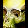 greenish yellow skull