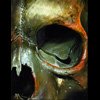 orange mold skull